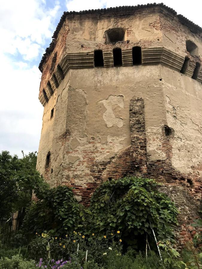 Tanners Tower Condo With A Fireplace Sibiu Exteriér fotografie